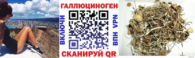 как найти наркотики  МЕГА сайт  Псилоцибиновые грибы Magic Shrooms  Ахтубинск 